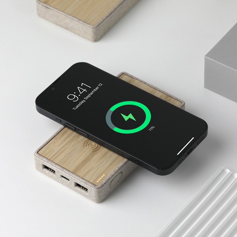 Powerbank
